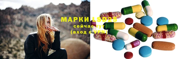 индика Балахна
