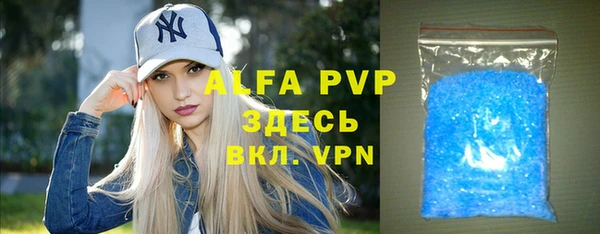 индика Балахна